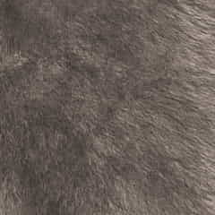 Jenis Bahan Karpet Bulu Rasfur