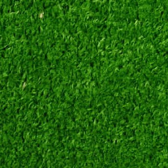 Jenis Bahan Karpet Rumput